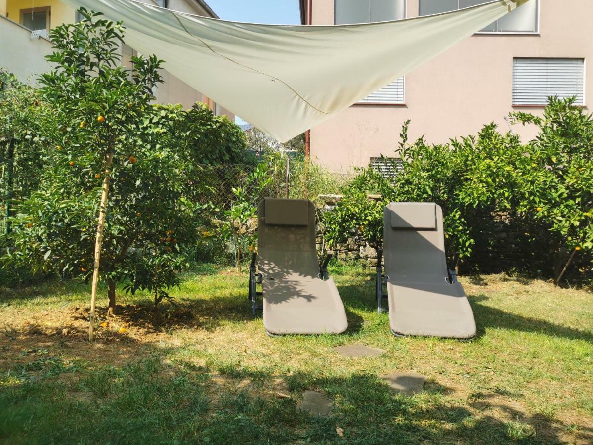 Medizen Apartment Izola Dış mekan fotoğraf